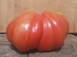 Blog Tomatissims Tomatissimas nova gamma de tomates híbrides naturals