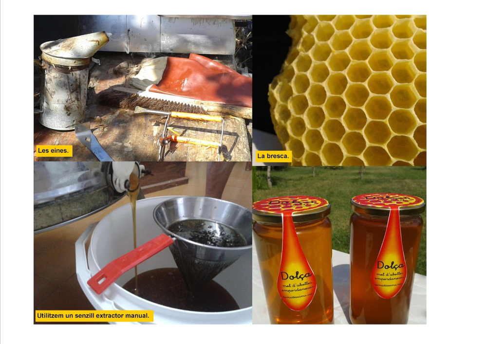 Tomatissims apicultura