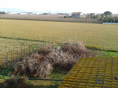 Gestió de residus urbans