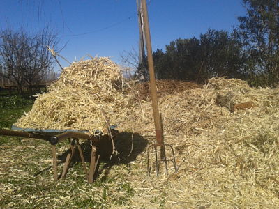 Gestió de residus urbans