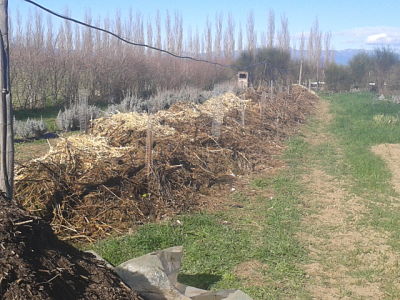 Gestió de residus urbans